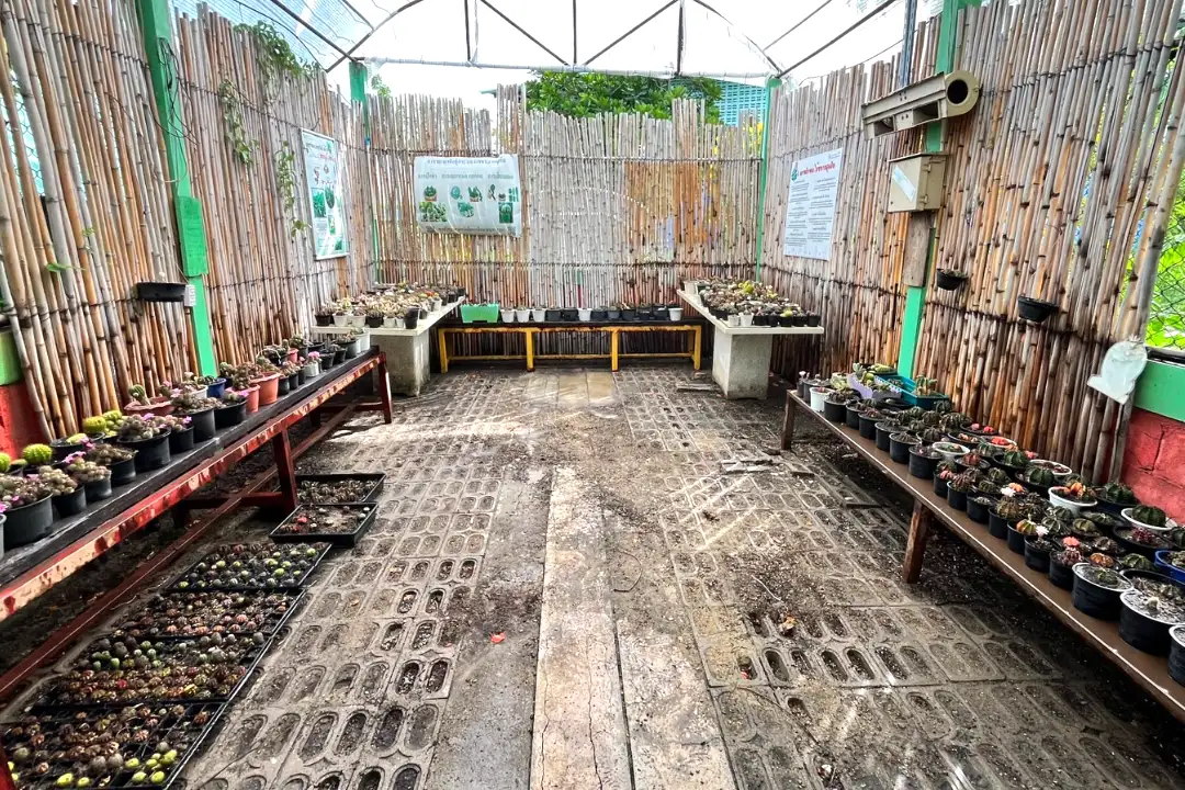 services-permanent-exhibition-01