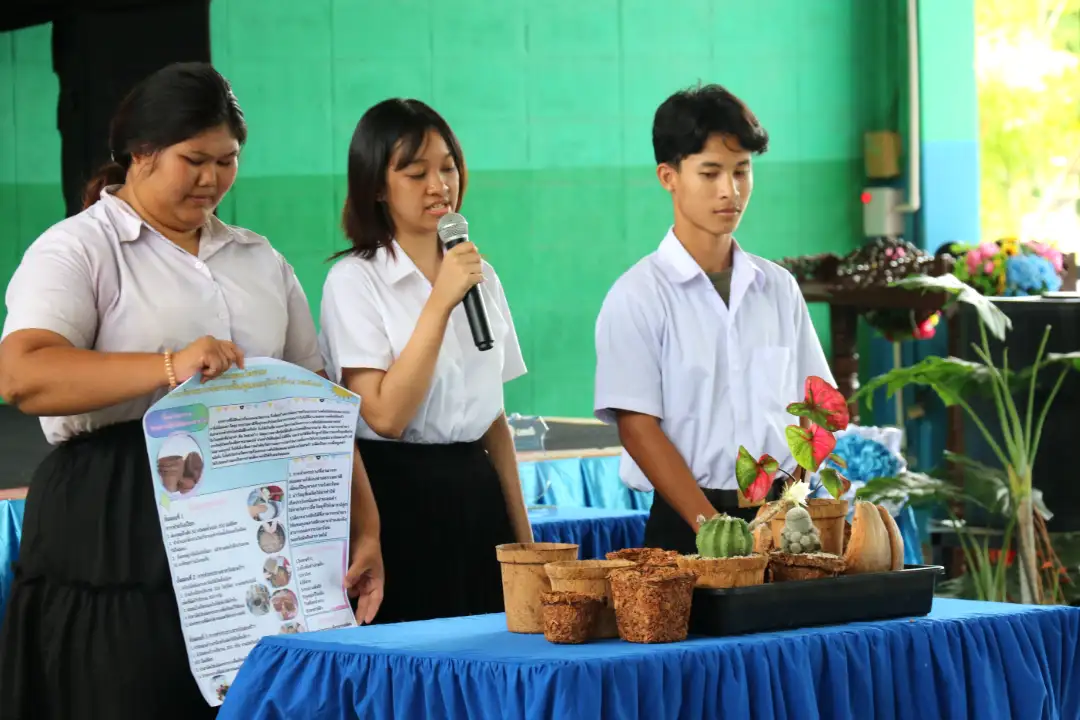 educational-services